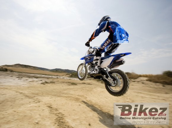 2011 Yamaha TT-R110E photo